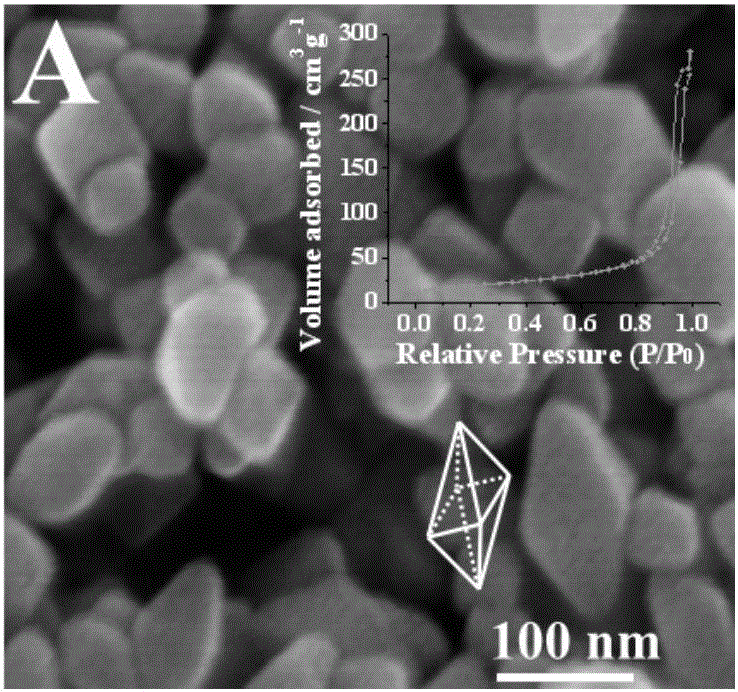 TiO2 mesoscopic crystal based trypsin photoelectrochemical detection method