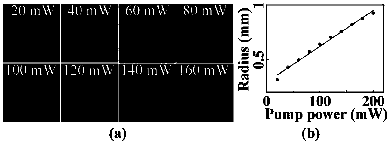 A method and device for manipulating optical tweezers based on hollow optical size adjustment