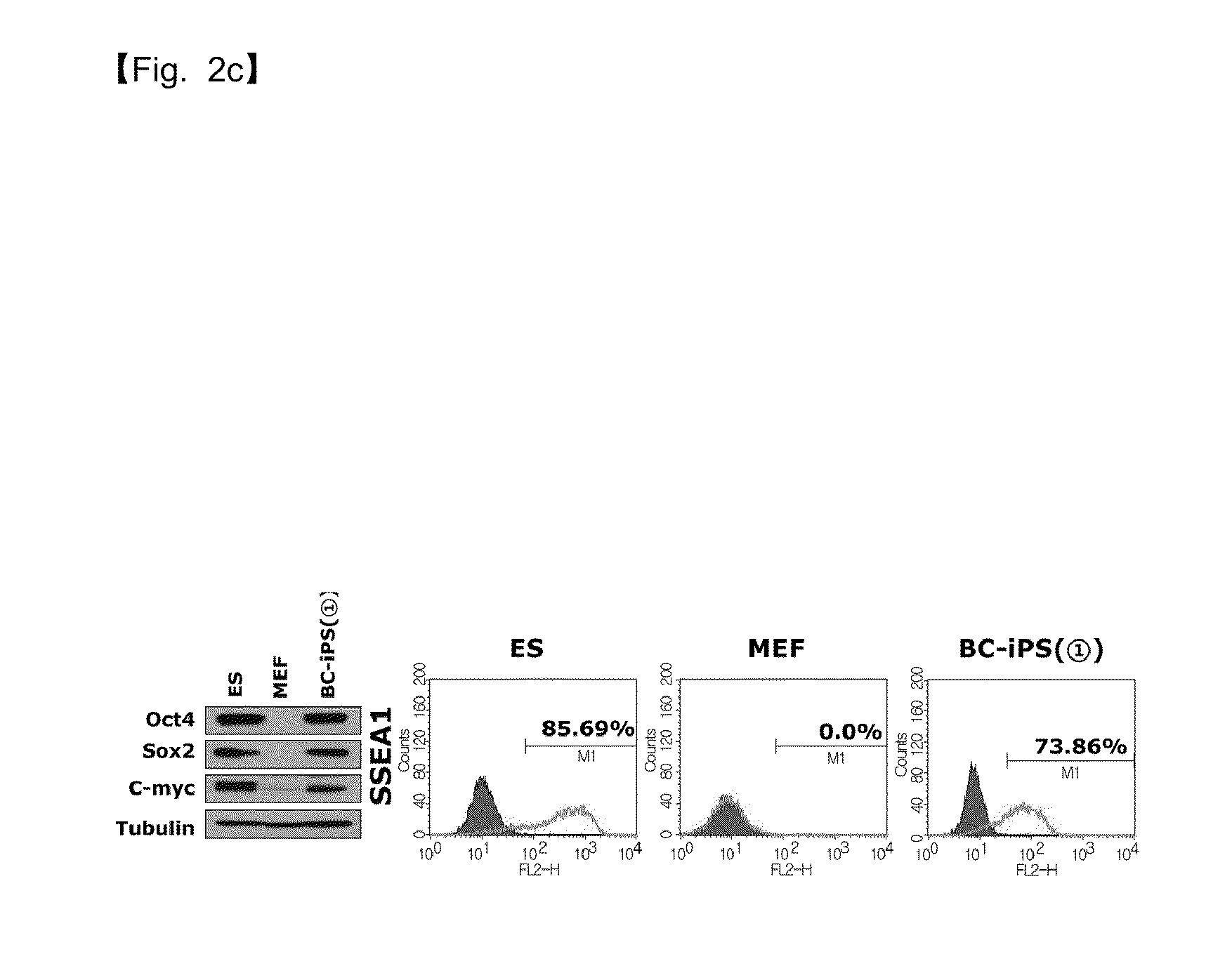 COMPOSITION FOR REPROGRAMMING SOMATIC CELLS TO GENERATE INDUCED PLURIPOTENT STEM CELLS, COMPRISING Bmi1 AND LOW MOLECULAR WEIGHT SUBSTANCE, AND METHOD FOR GENERATING INDUCED PLURIPOTENT STEM CELLS USING THE SAME