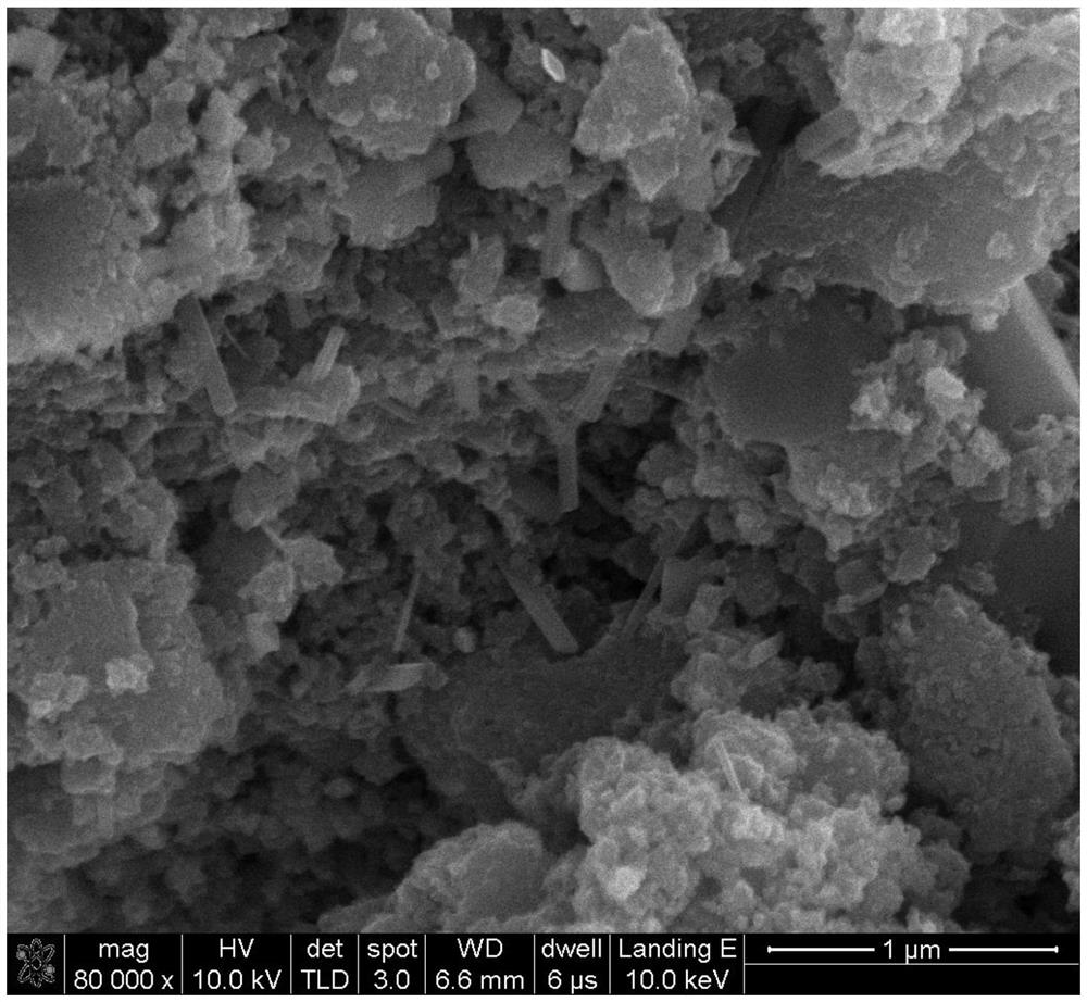 Method for preparing titanium dioxide powder with different morphologies by solid phase method