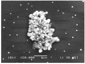 Method for fast preparing hollow porous silicon dioxide/silver nanoparticle composite and product