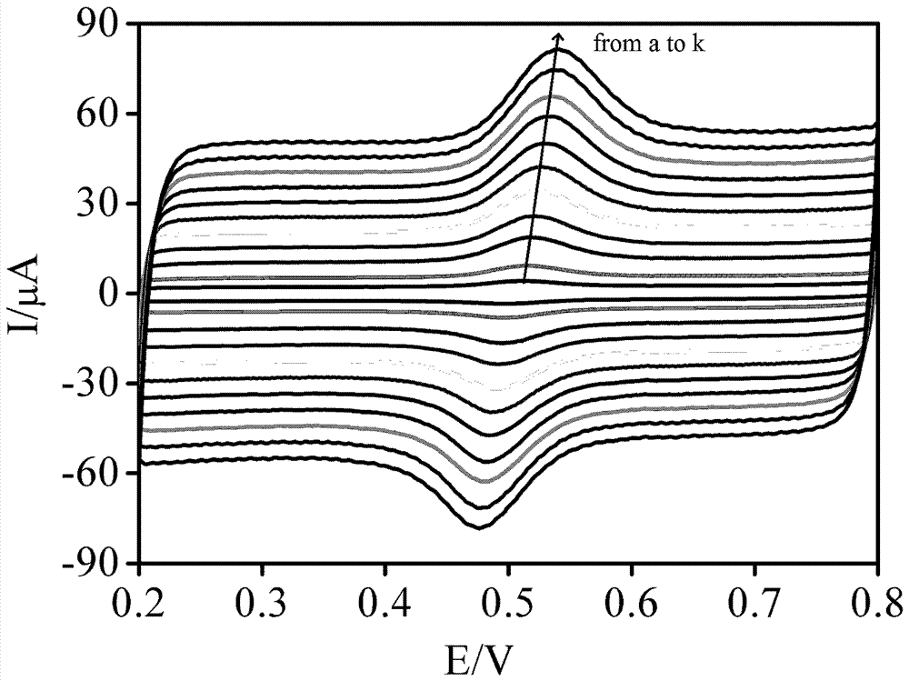Method for preparation of BP (black phosphorene) modified electrode and detection of rutin