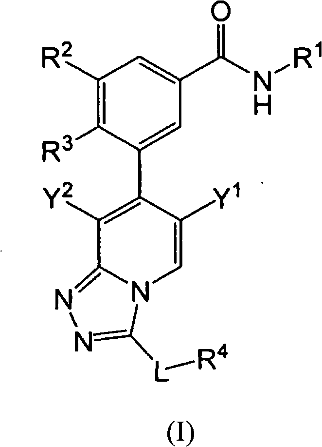 New 3-([1,2,4]triazolo[4,3-a]pyridin-7-yl)benzamide derivatives