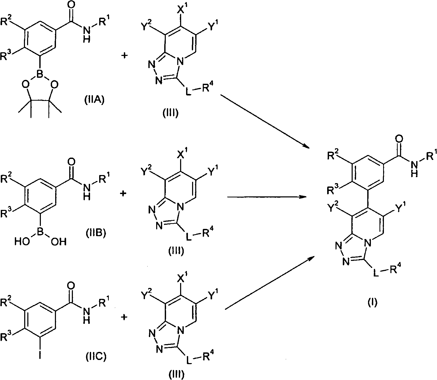 New 3-([1,2,4]triazolo[4,3-a]pyridin-7-yl)benzamide derivatives