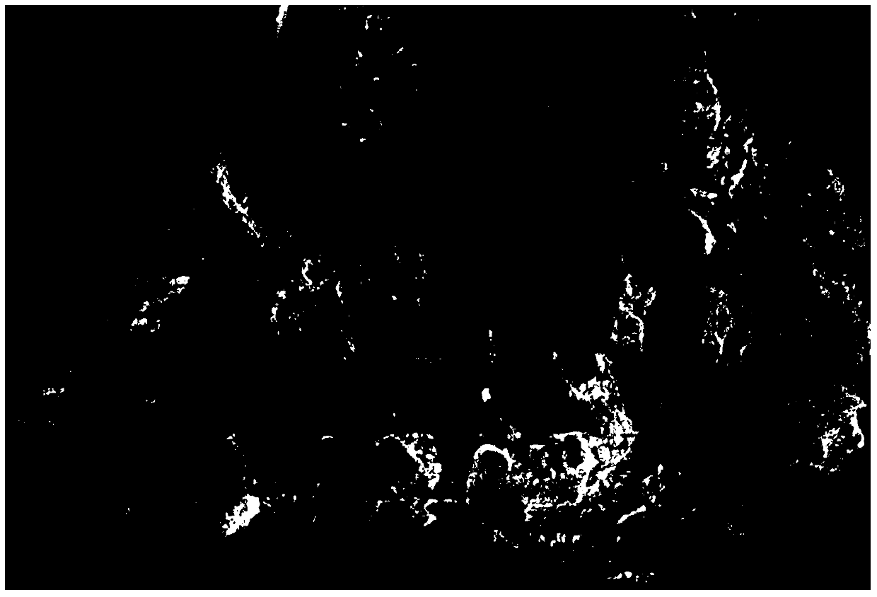 Coated silicate fluorescent powder and film-coating method thereof