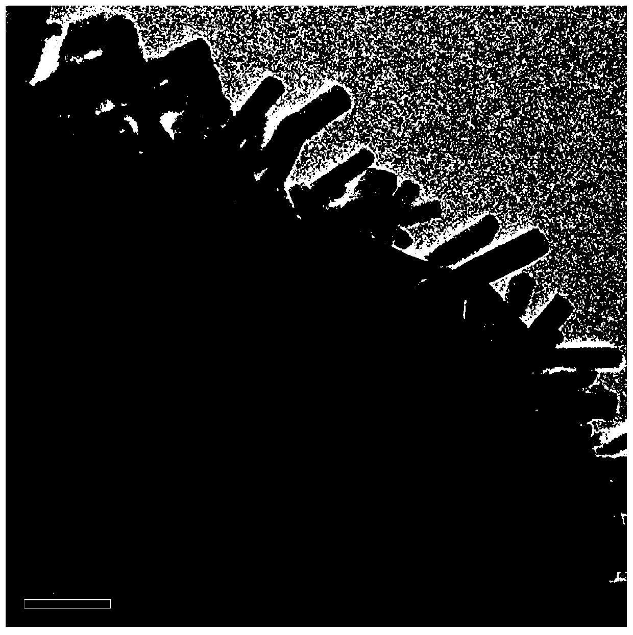 Preparation method of nano-cu@cuo material and its application in lithium-ion battery