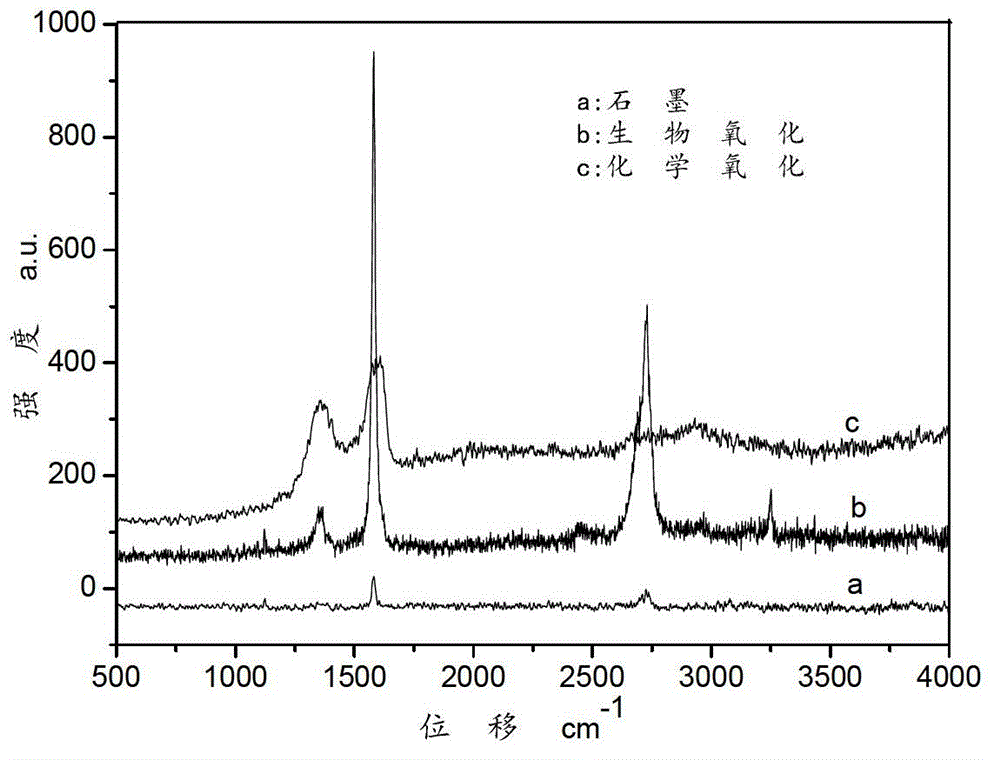 Biological oxidation graphite and preparation method thereof