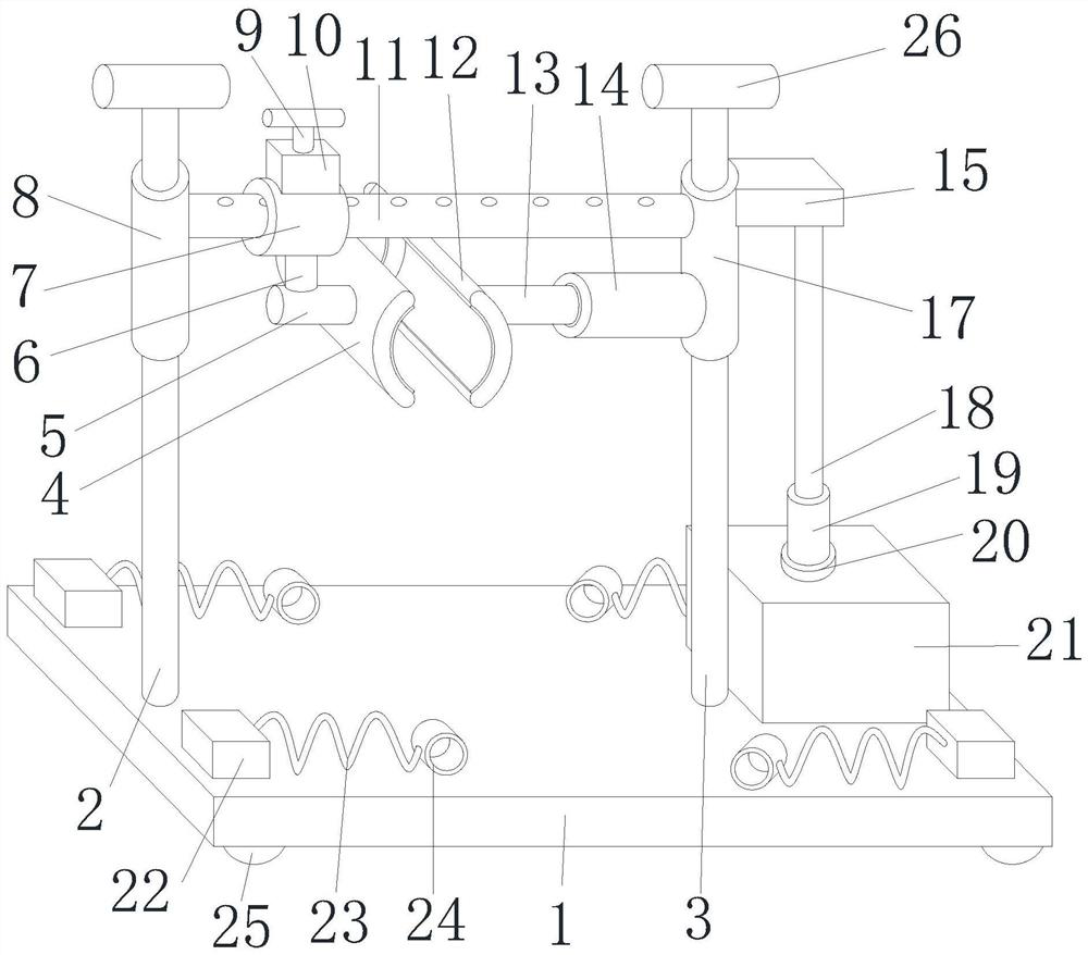 Fixing frame for veterinarian treatment