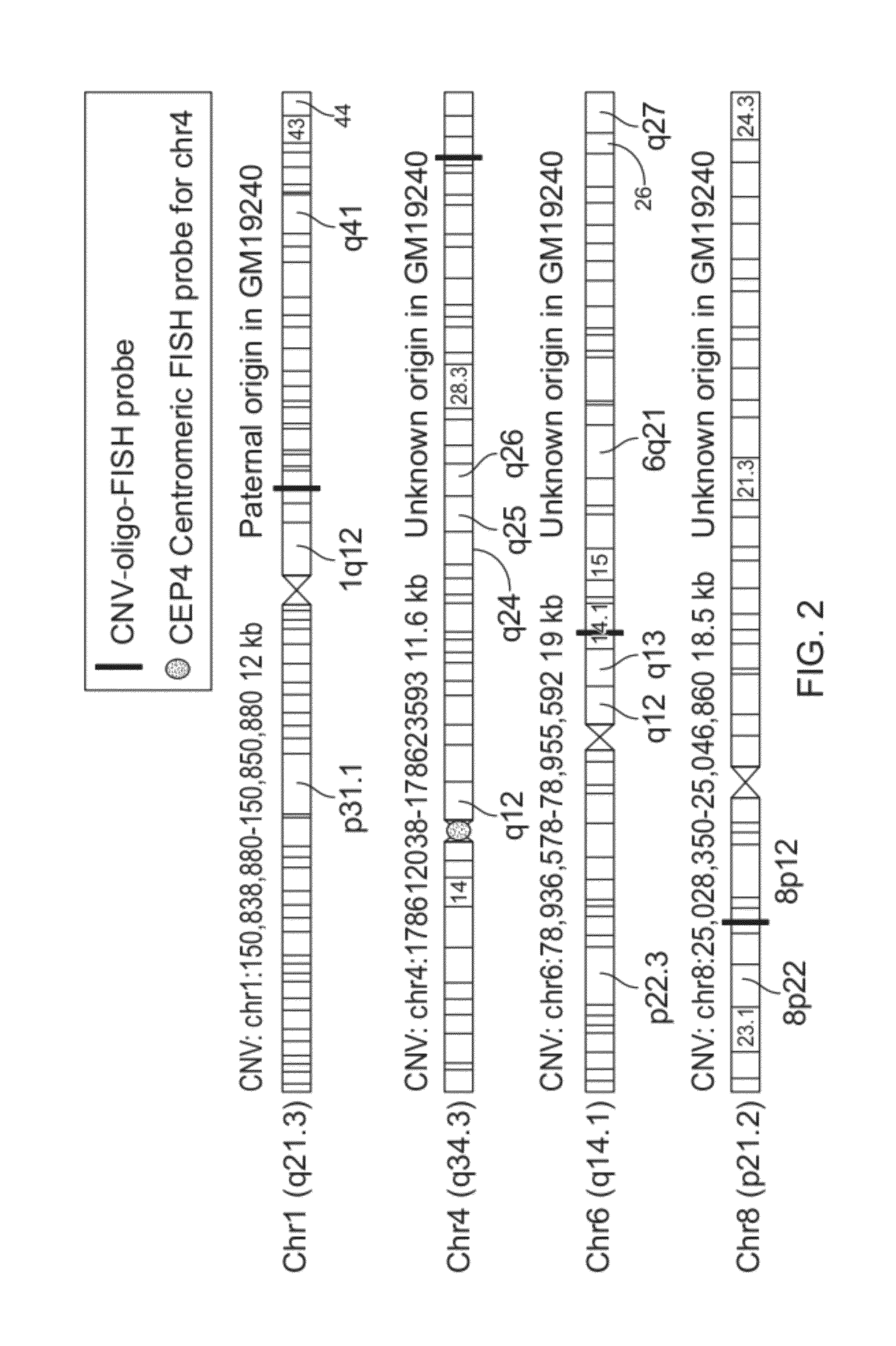 Method for phased genotyping of a diploid genome