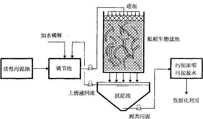 Method for processing excess sludge of town sewage plant using angleworm bio-filter