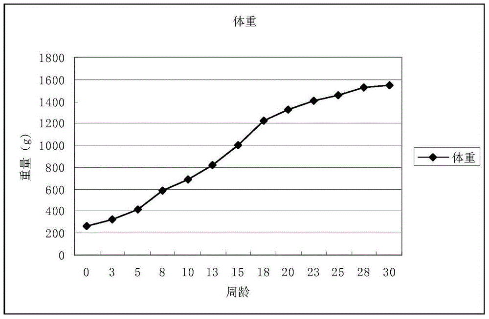 A kind of artificial rearing method of pangolin