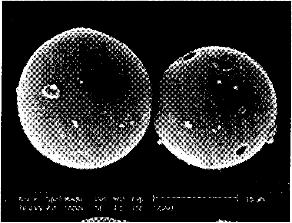 Blumea oil microcapsule antibacterial mask and preparation method thereof