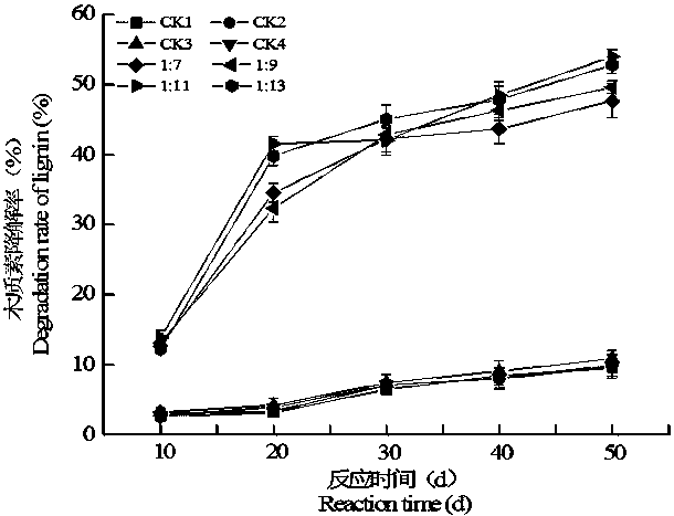 Method for treating uranium enrichment biomass through combination of phanerodontia chrysosporium and modified activated carbon and application thereof