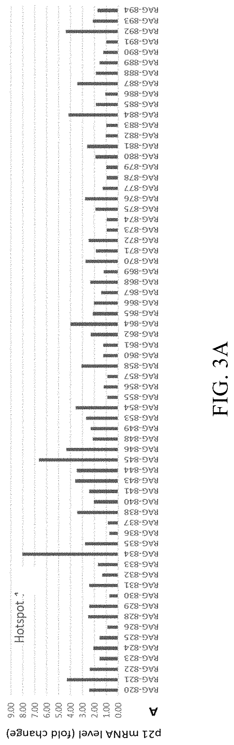 Novel Small Activating RNA