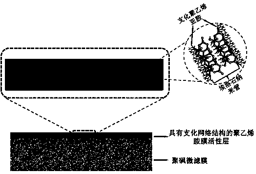 Polyvinylamine film with branched network structure as well as preparation method and application of film