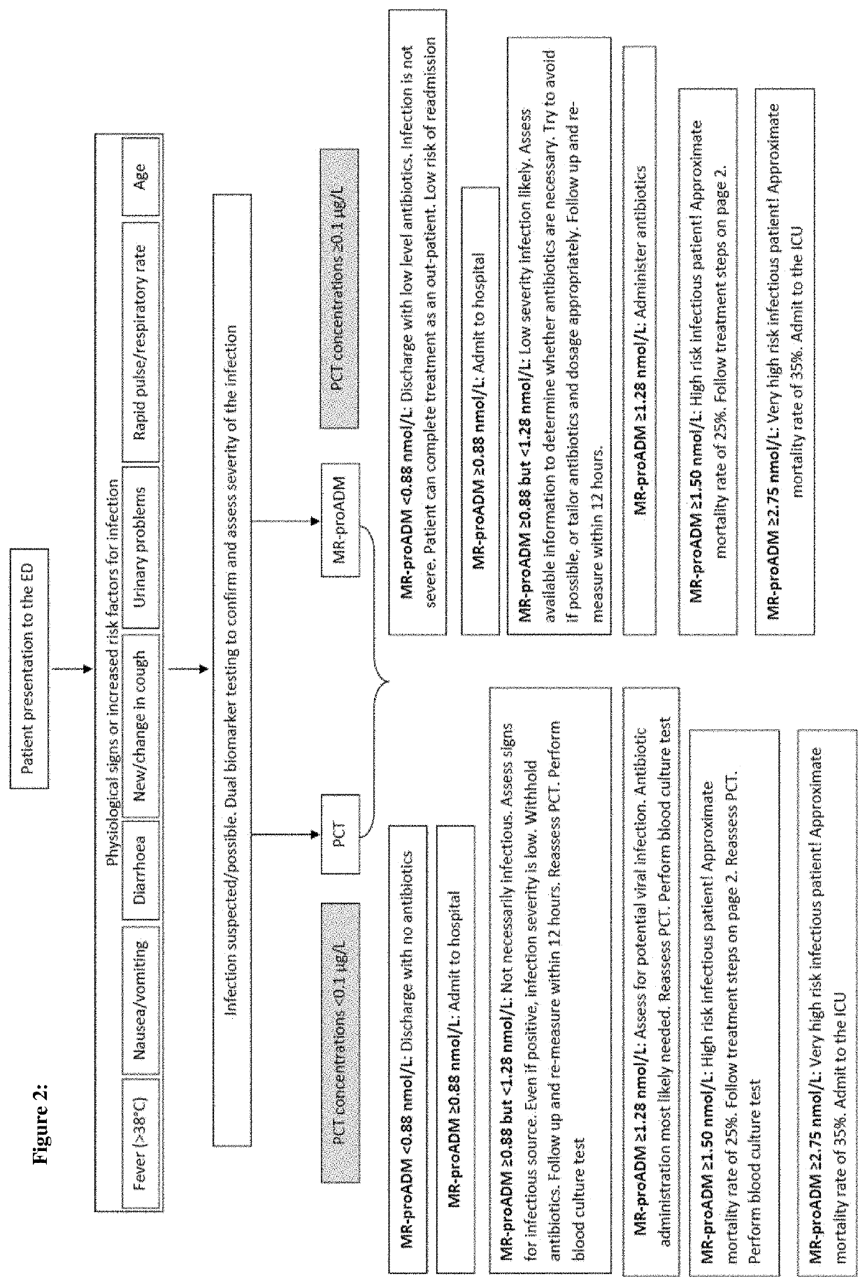 Workflow for risk assessment and patient management using procalcitonin and midregional-proadrenomedullin