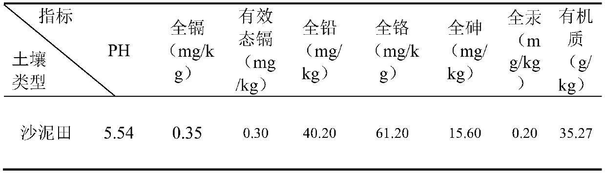Method for continuous safe production of rice in slightly cadmium-polluted acid soil