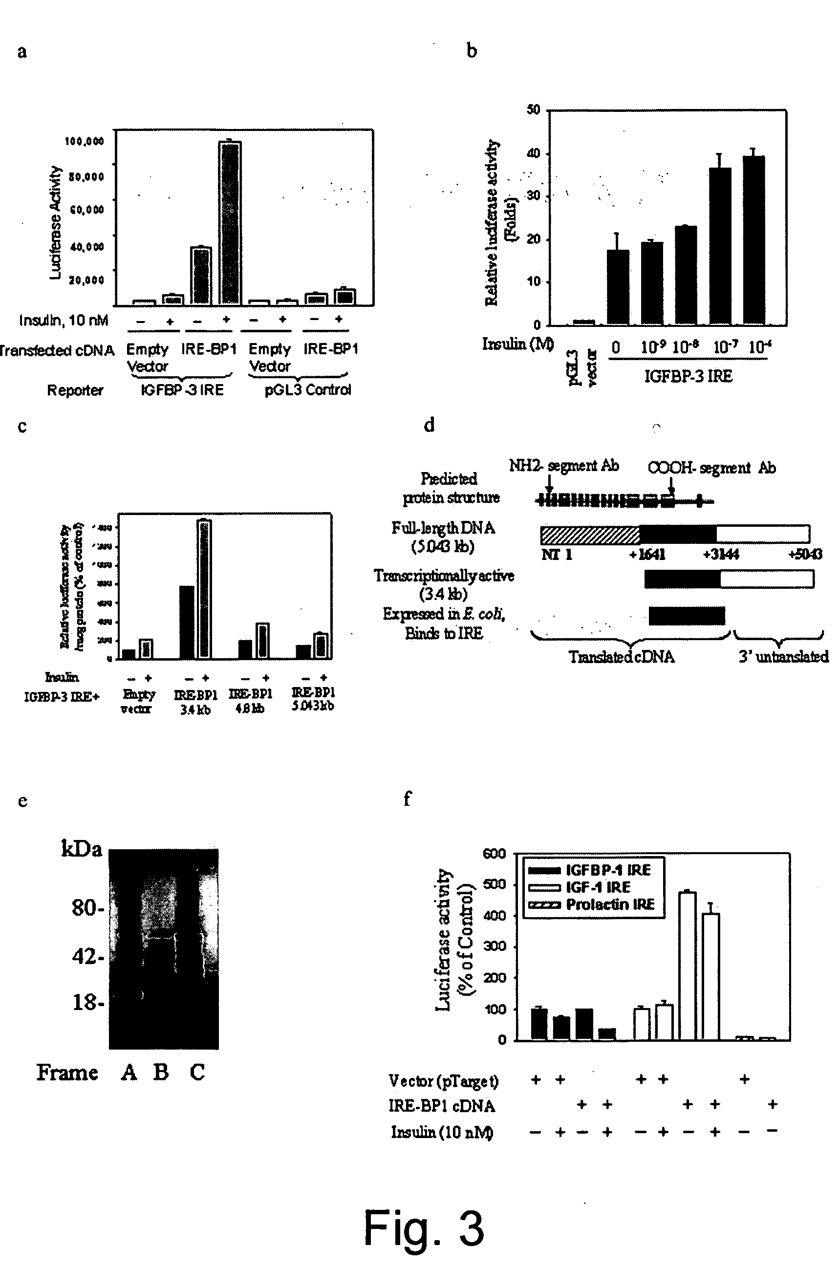 Transcript factor and an Akt substrate related to transcriptional action of insulin and applications of same