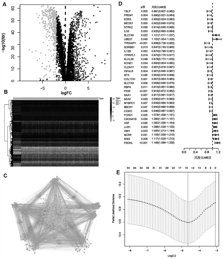 Breast cancer prognosis risk prediction marker composition and application