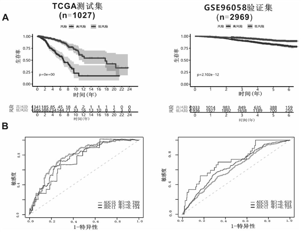 Breast cancer prognosis risk prediction marker composition and application