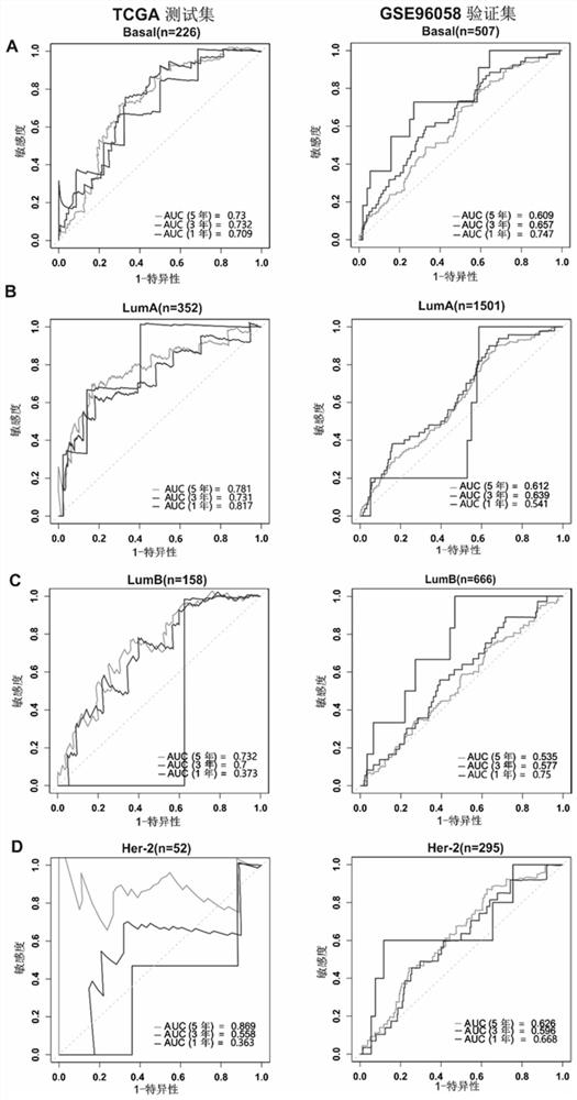 Breast cancer prognosis risk prediction marker composition and application