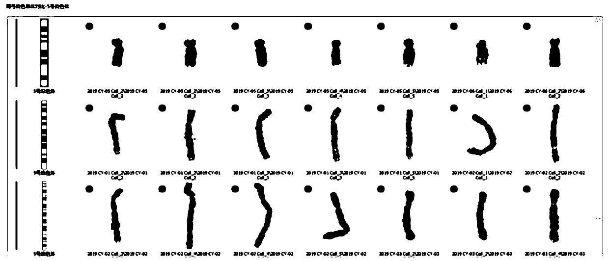 Chromosome sequencing method based on stripe recognition