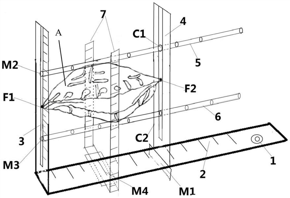 Measuring ruler and measuring method for carapace quality of Box Turtle yellow margin