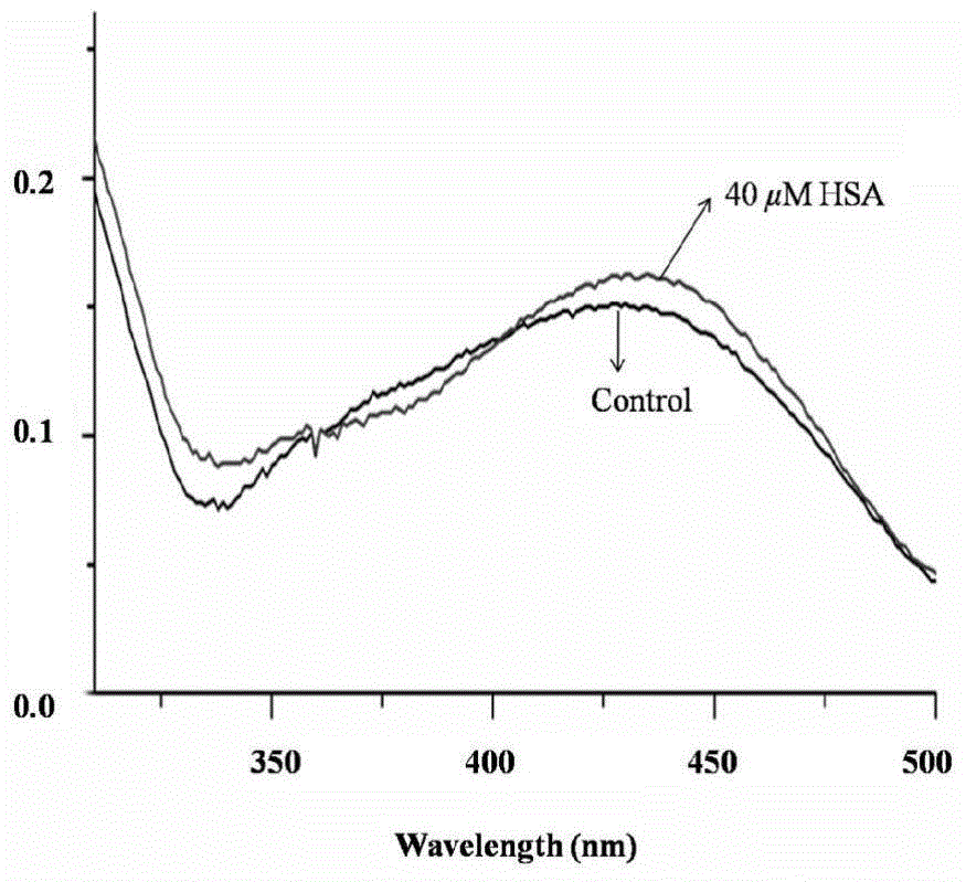 Fluorescence probe for detecting human serum albumin and preparation method therefor