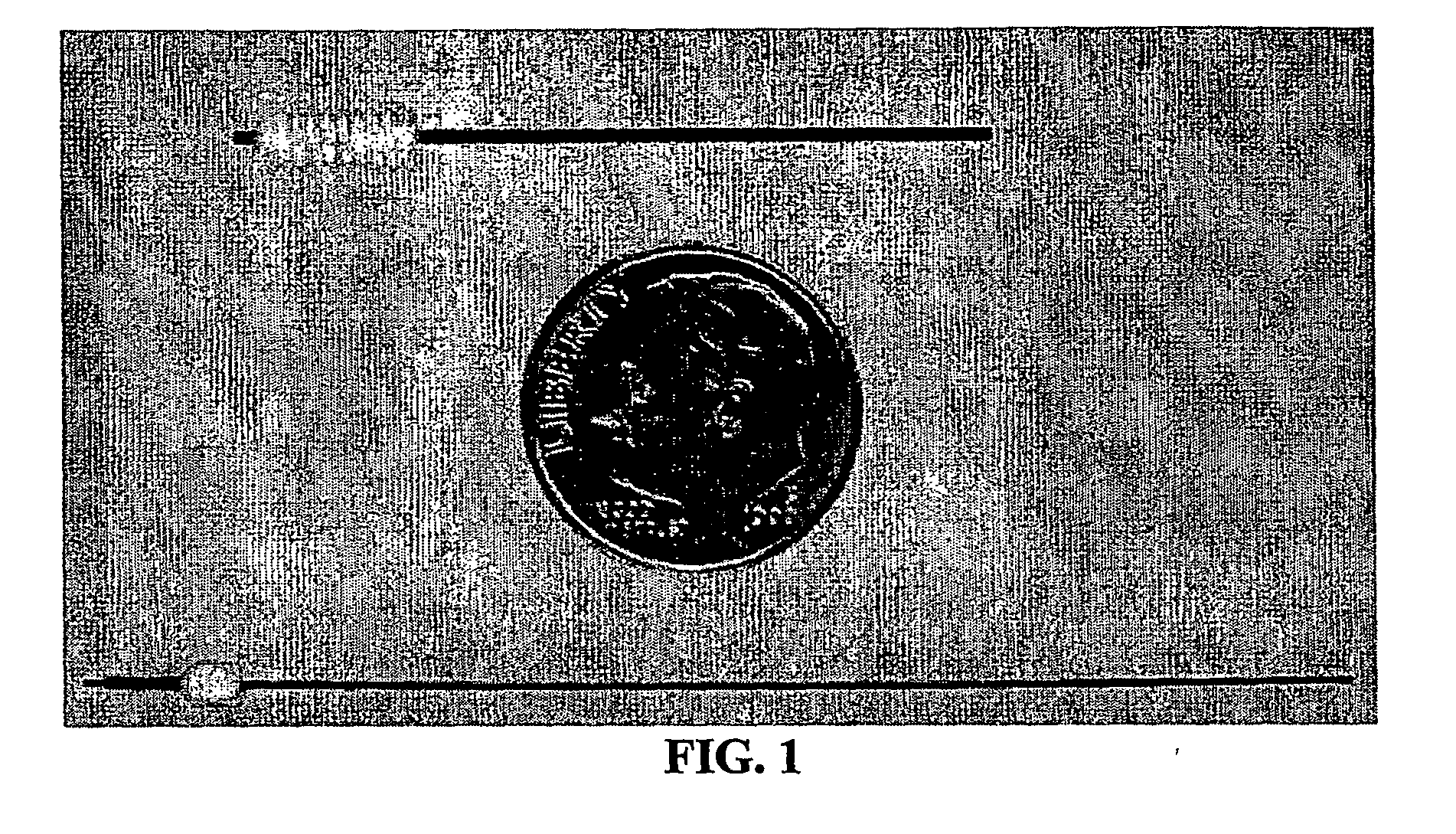 Method for convection enhanced delivery of therapeutic agents