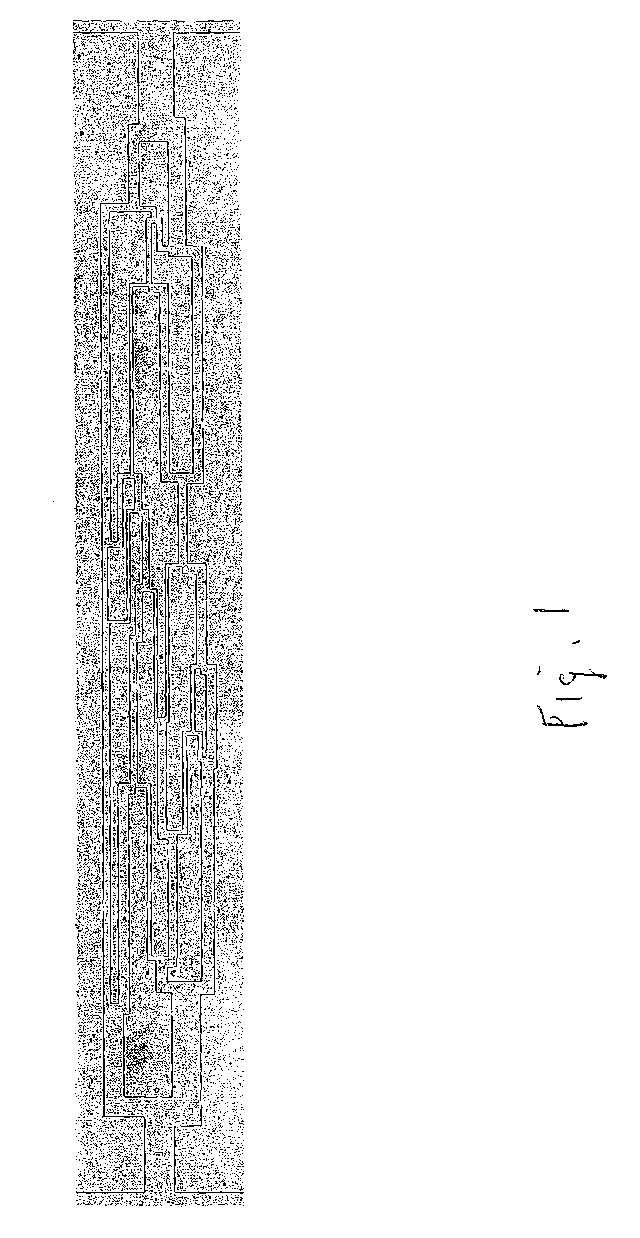 Microvascular network device