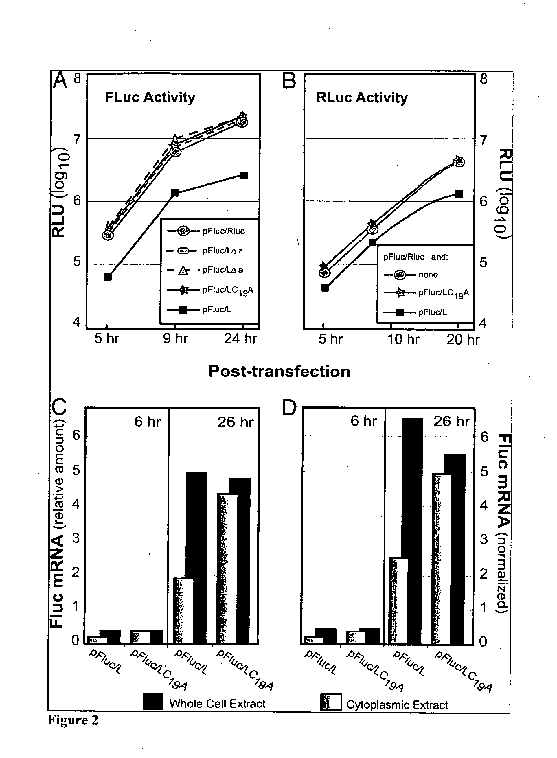 Protein inhibitor of RAN activity and methods of use thereof