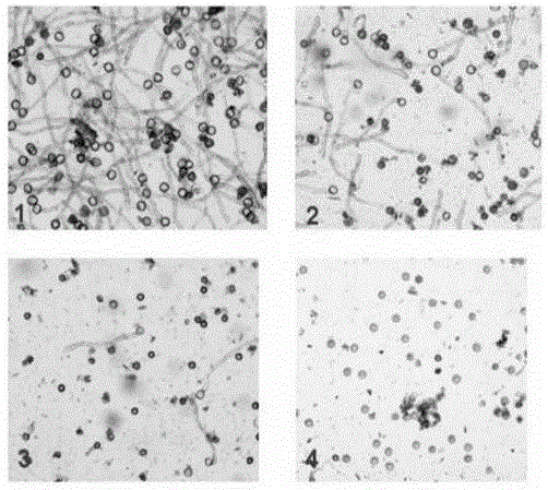 A kind of vacuum preservation method and application of soybean pollen