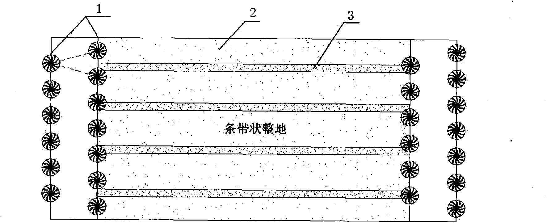 Fast afforestation method of tamarix chinensis at coastal saline-alkali soil