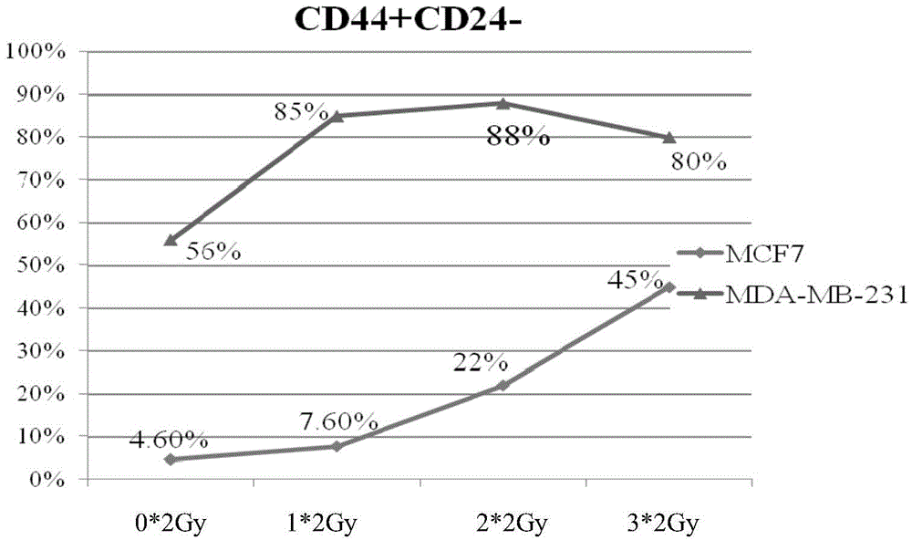 Method for enriching tumor stem cells through continuous low dose radiation