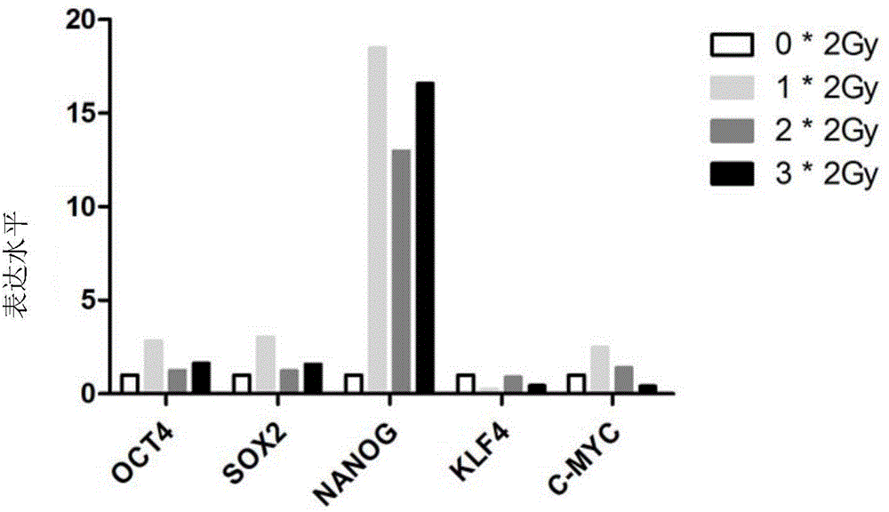 Method for enriching tumor stem cells through continuous low dose radiation