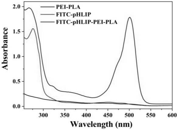 Synthesis and characterization of the transport vector phlip-pei-pla and a method for studying its delivery to siRNA