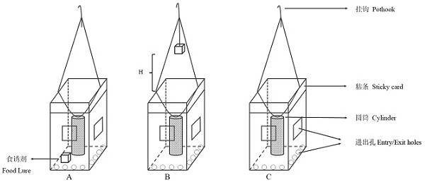 A combined preparation, system and application thereof for thrips control