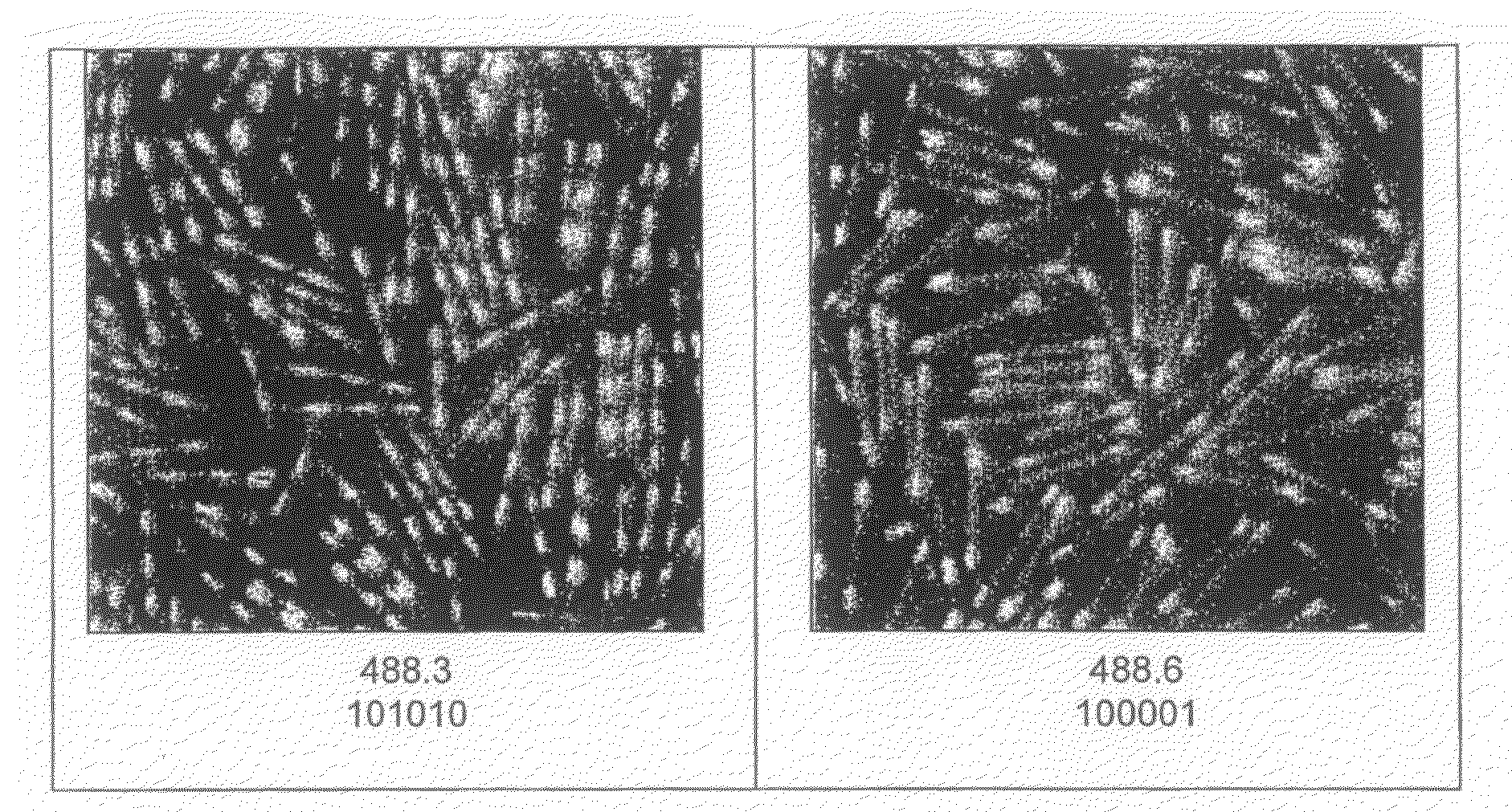 Method for determining the cell culture history of a cell unit labelled with more than one type of tag