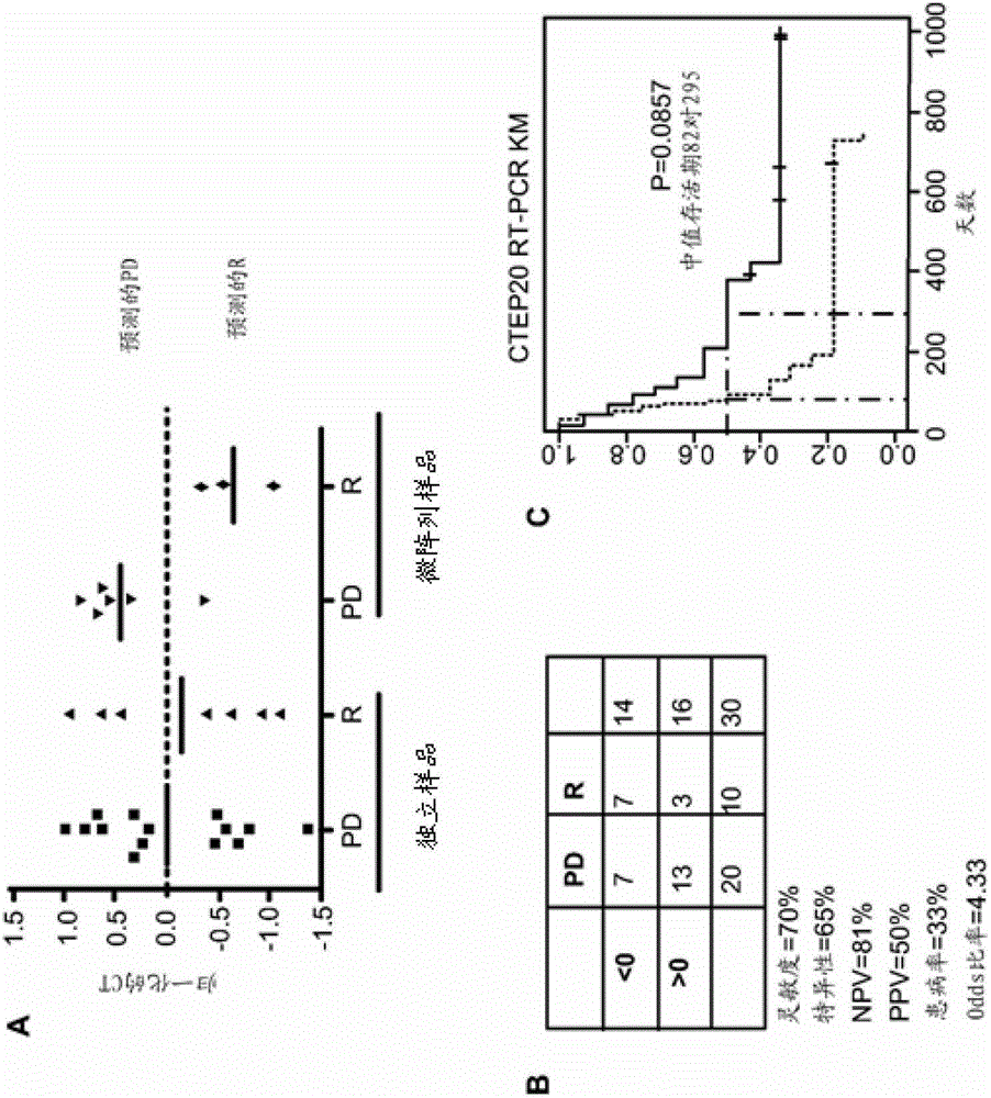 Method for Determining the Response of Acute Myeloid Leukemia to Farnesyltransferase Inhibitor Therapy