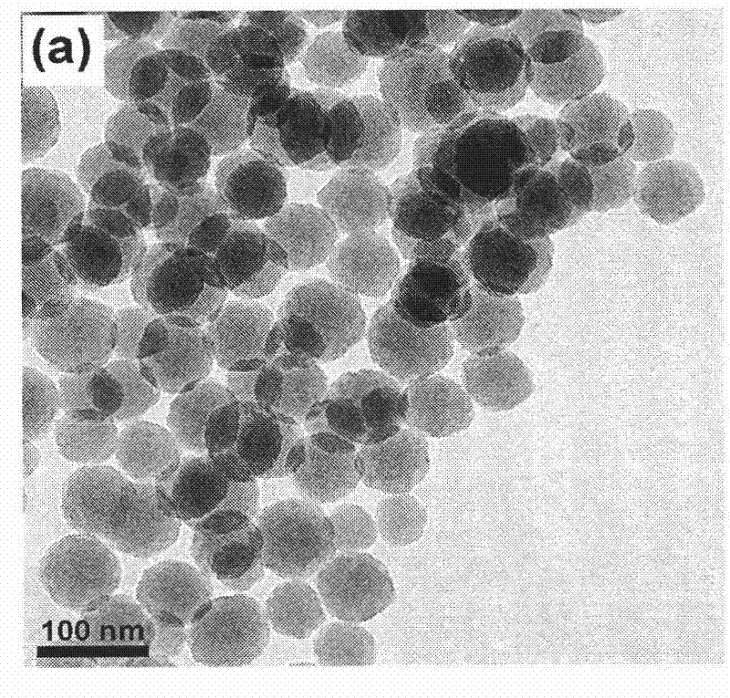 Multifunctional nuclear shell structure drug carrier material and preparation method thereof