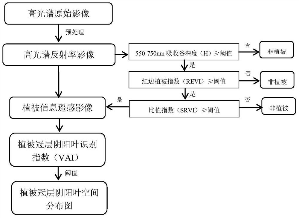 A Method for Discriminating Yin and Yang Leaves in Vegetation Canopy Based on Hyperspectral Imagery