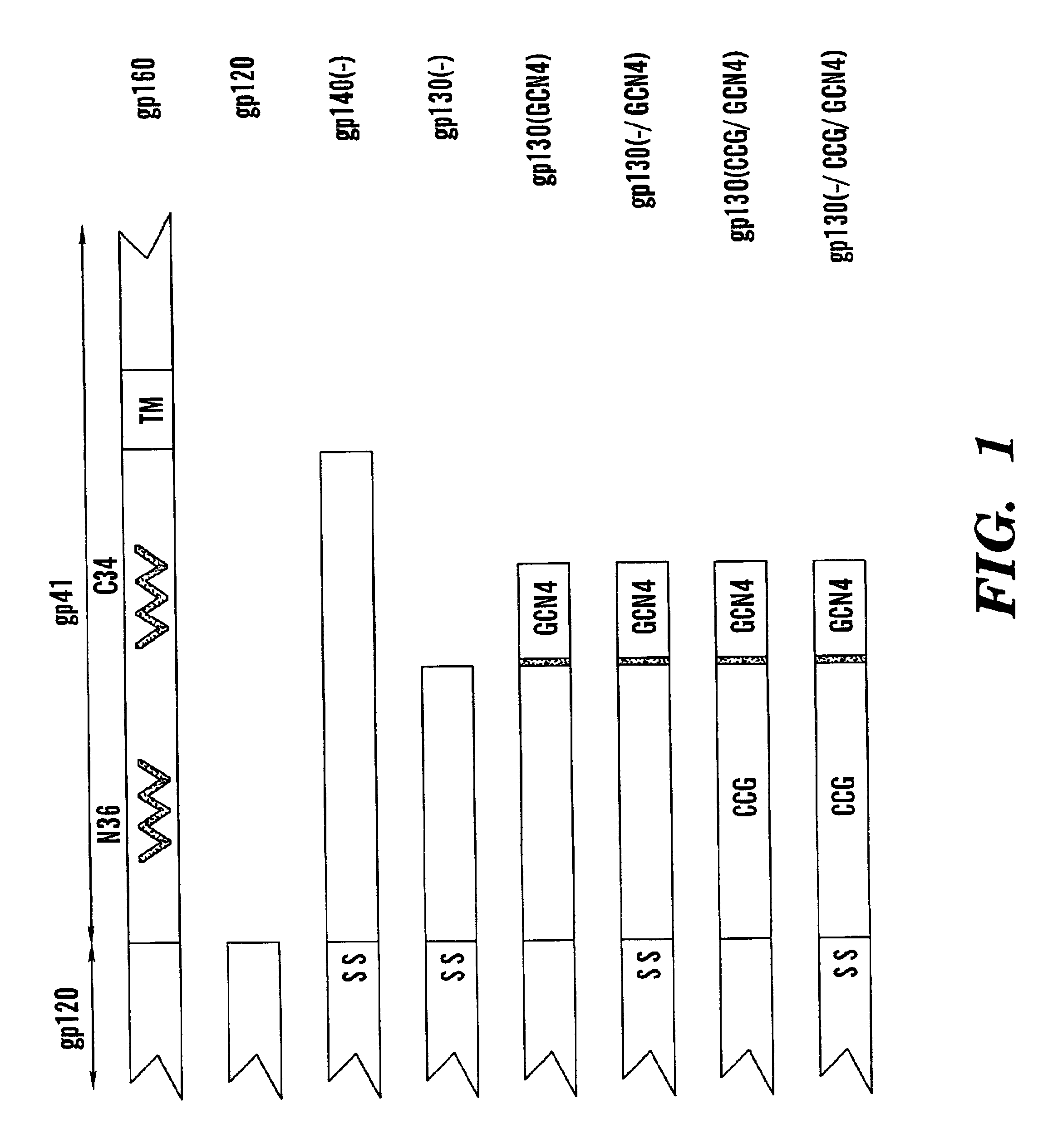 Stabilized soluble glycoprotein trimers