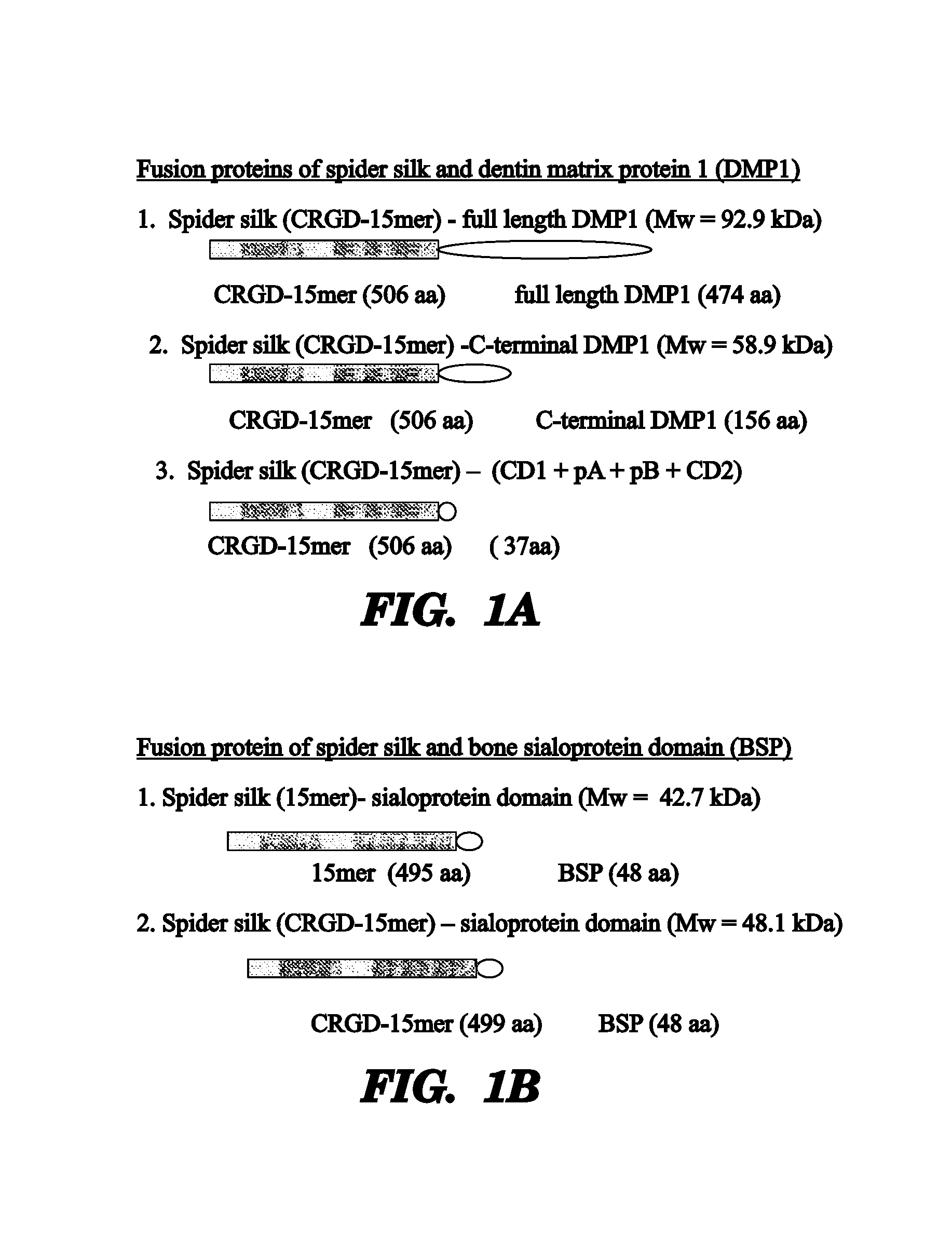 Fibrous protein fusions and use thereof in the formation of advanced organic/inorganic composite materials