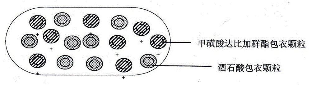 A dabigatran etexilate mesylate capsule pharmaceutical composition and a preparing method thereof