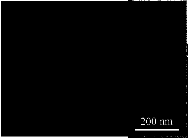 Preparation method of regularly-bent tellurium nanowires