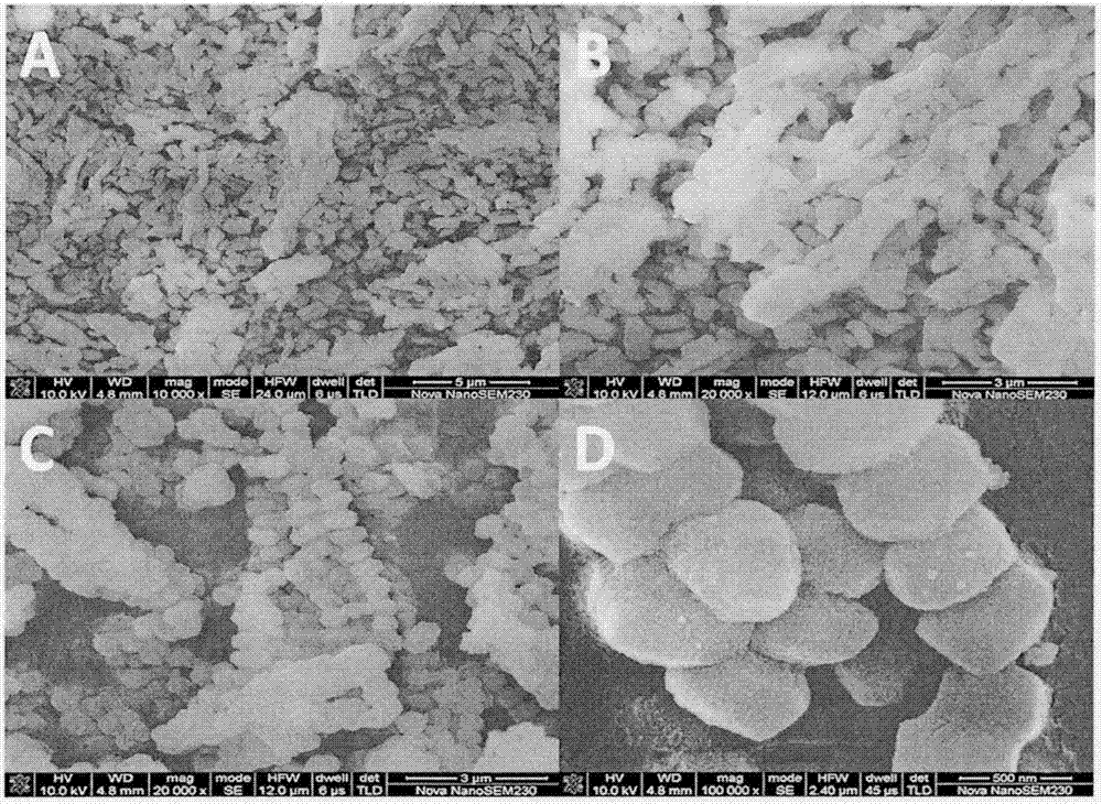 Method for catalyzing and synthesizing biodiesel by virtue of short mesoporous DCNH-Zr-SBA-15 molecular sieve