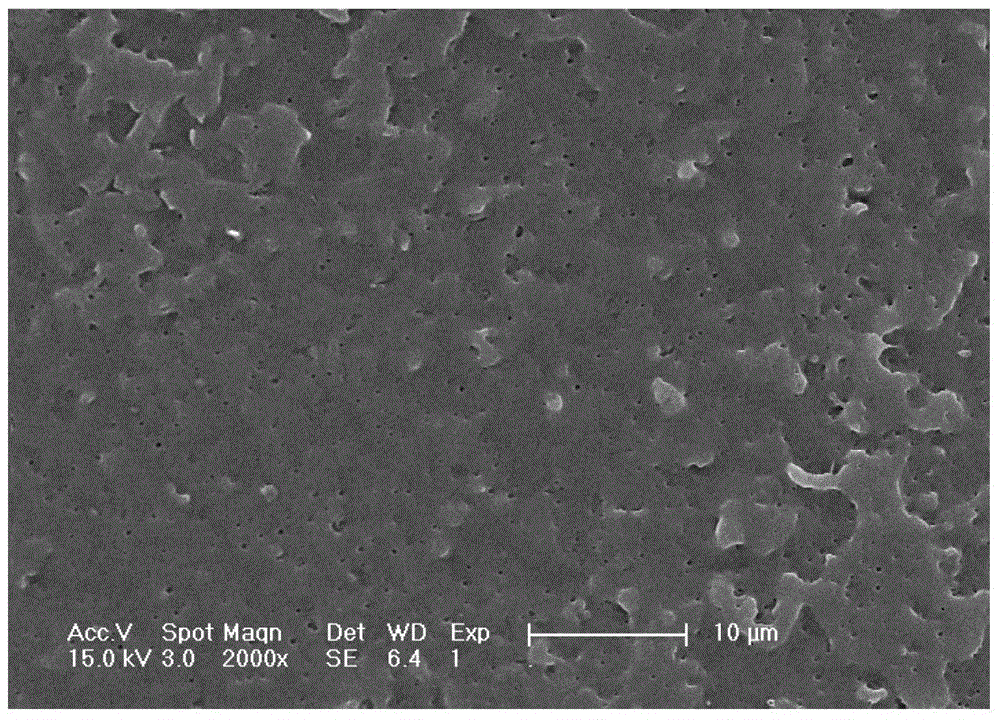 Method for preparing porous polymer material by selective biodegradation