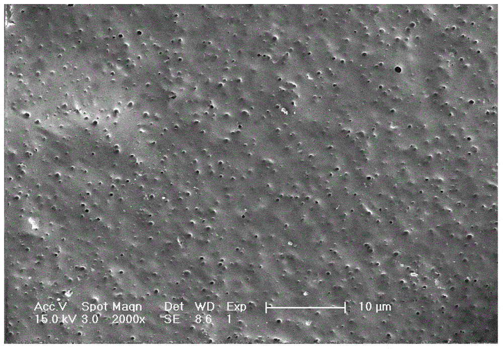 Method for preparing porous polymer material by selective biodegradation
