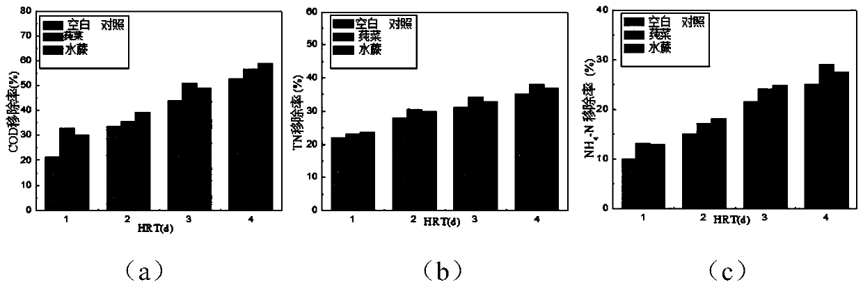 Method for regenerating green energy by utilizing coking wastewater