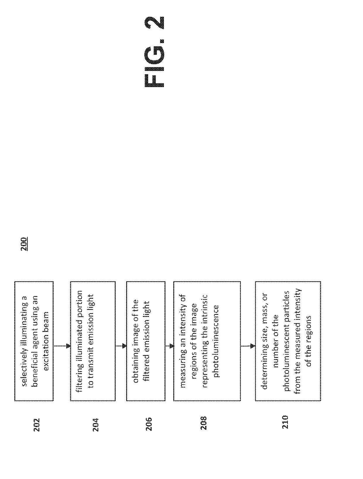 Systems and Methods for Identifying Protein Aggregates in Biotherapeutics